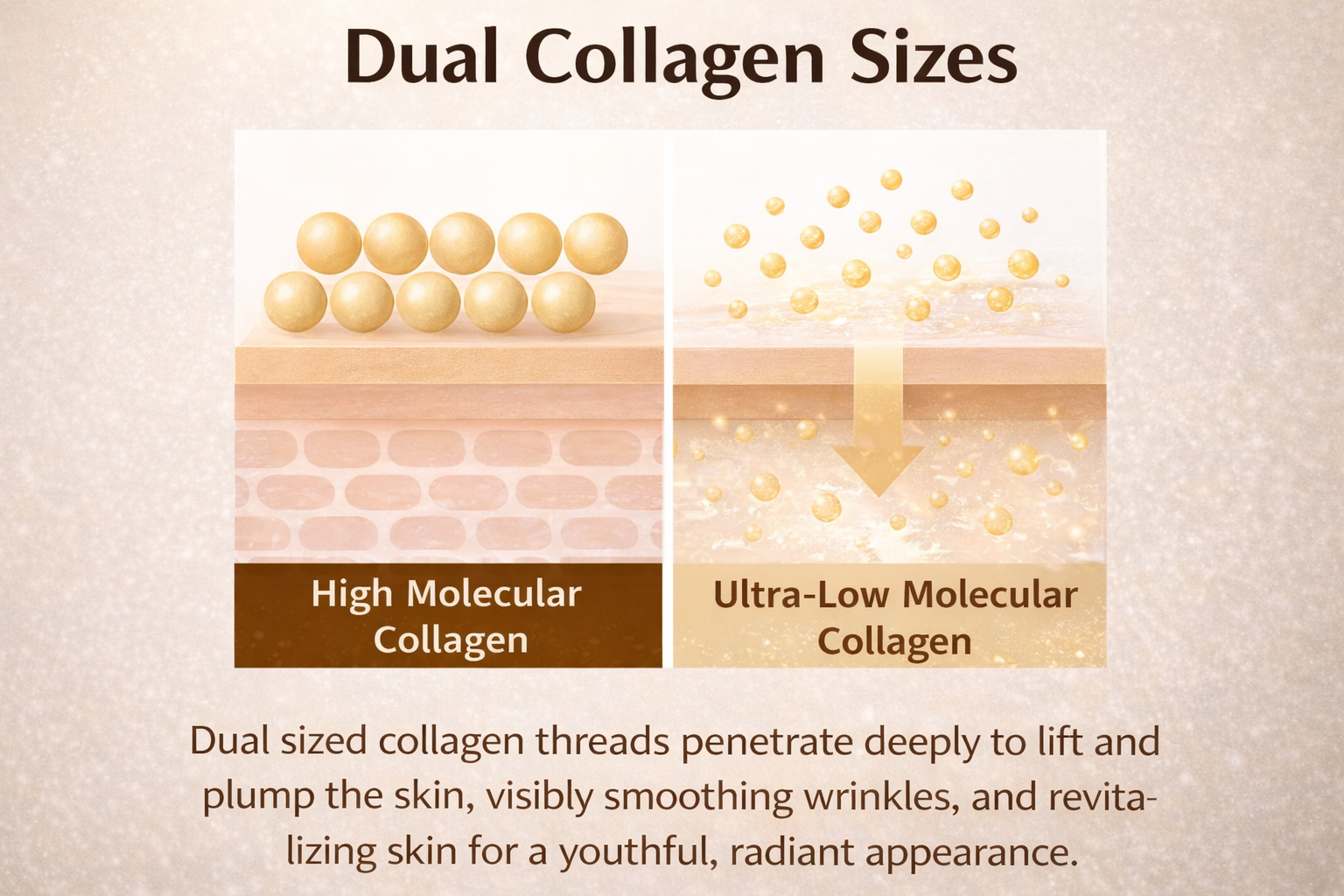 ZÉRIE - The Glass Skin Ampoule